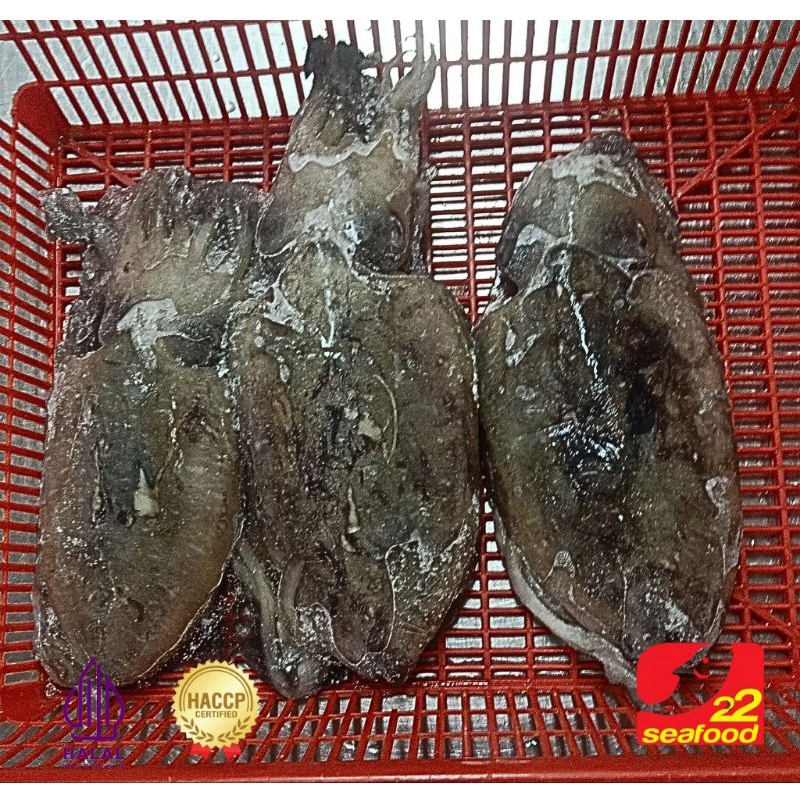 

cumi blakutak sontong 500 gram / size 100-500g / Seafood 22