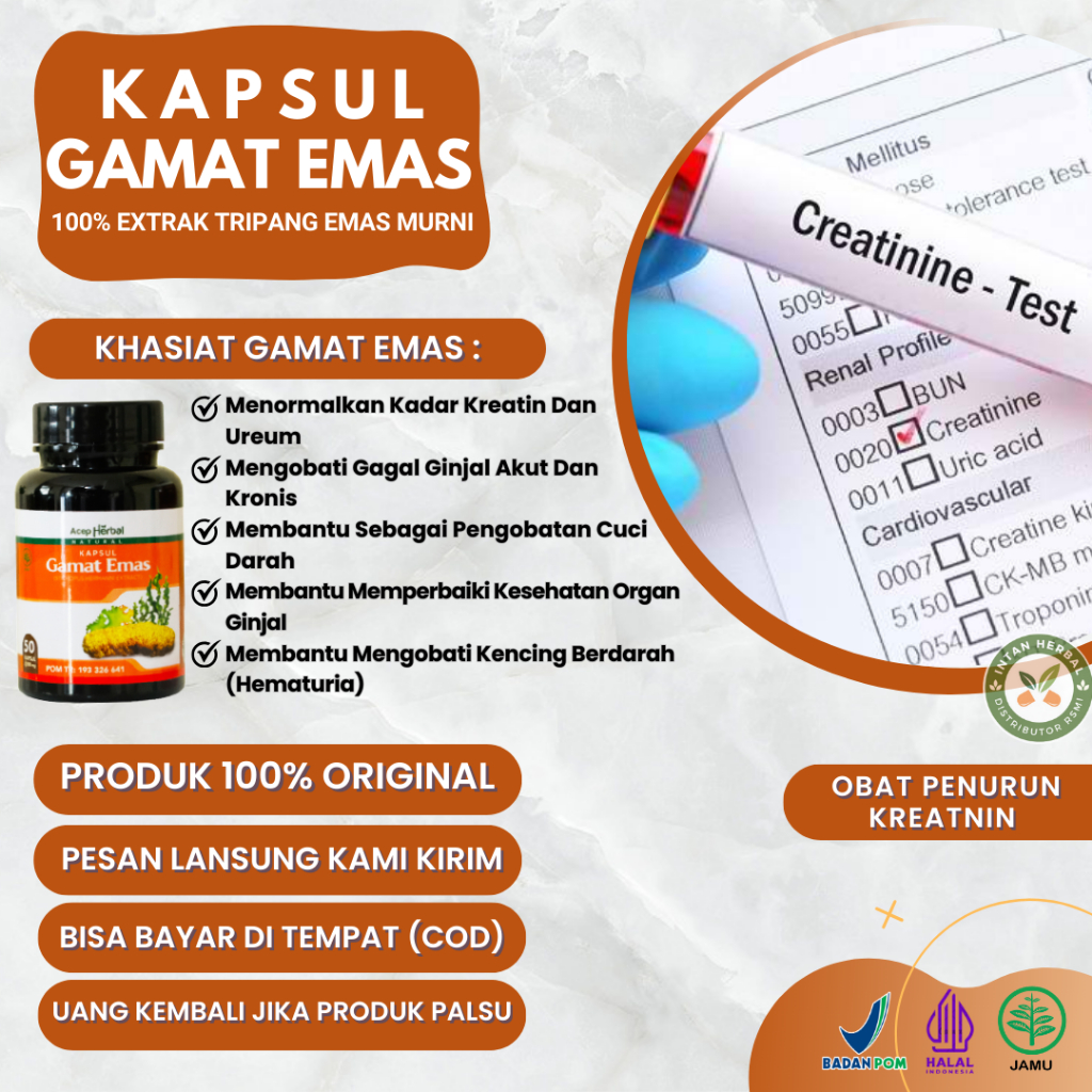 Gamat Emas Kapsul - Obat Penurun Kreatnin, Kadar Ureum Tinggi, Menurunkan Kreatin Dalam Ginjal, Ginj