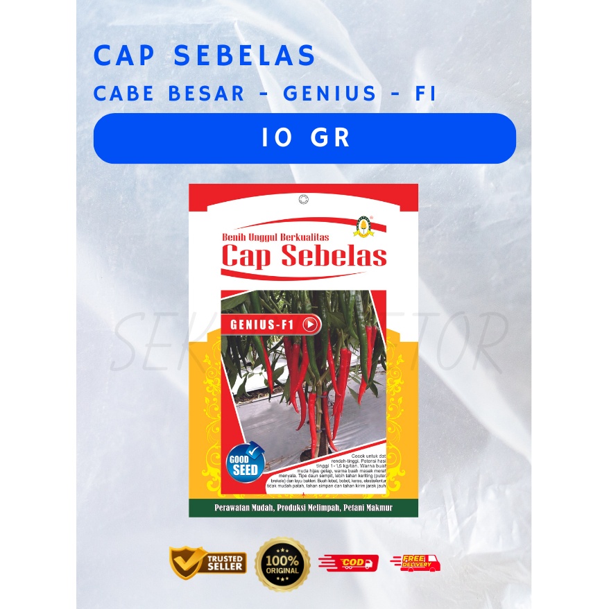 Benih Cabe Besar Genius F1 Cap Sebelas 10gr | Benih Cabe Besar | Bibit Cabe Besar | Benih Cabe Besar