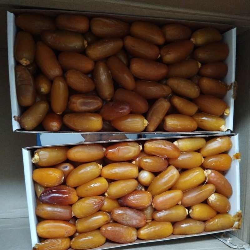 

Kurma Ruthob Libya Premium Panen terbaru -/+ 1 kg