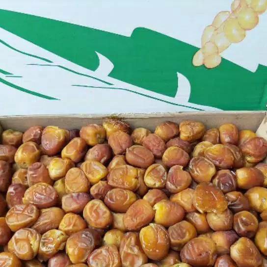 

Terjangkau Kurma SUKARI 3KG Basah Sukkari Premium 1 Asli Original Oleh Oleh Haji dan Umroh