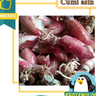 

KF7 Salted SquidCumi Asin Kering Frozen Fresh Quality Seafood