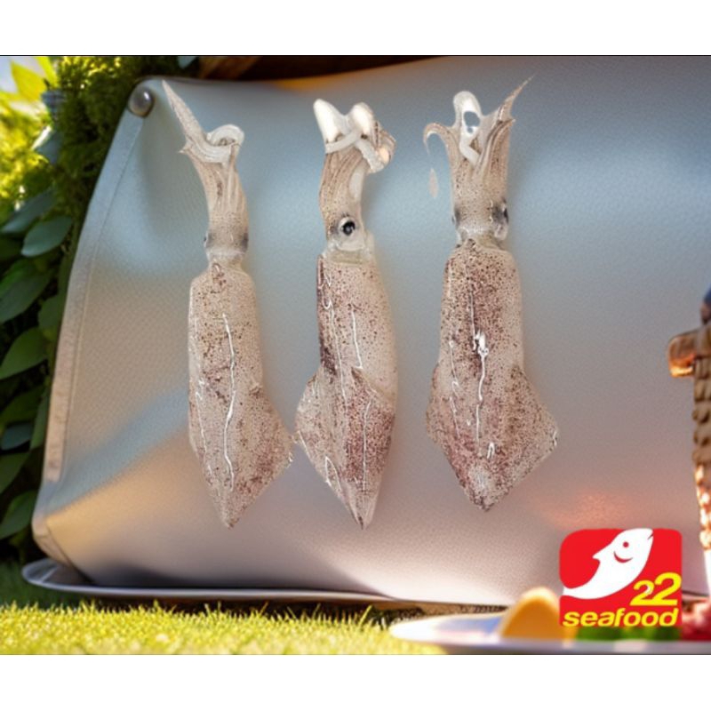 

Cumi Utuh 500 gram (8-10 cm) Cumi Loligo / Cumi Papua / Seafood 22