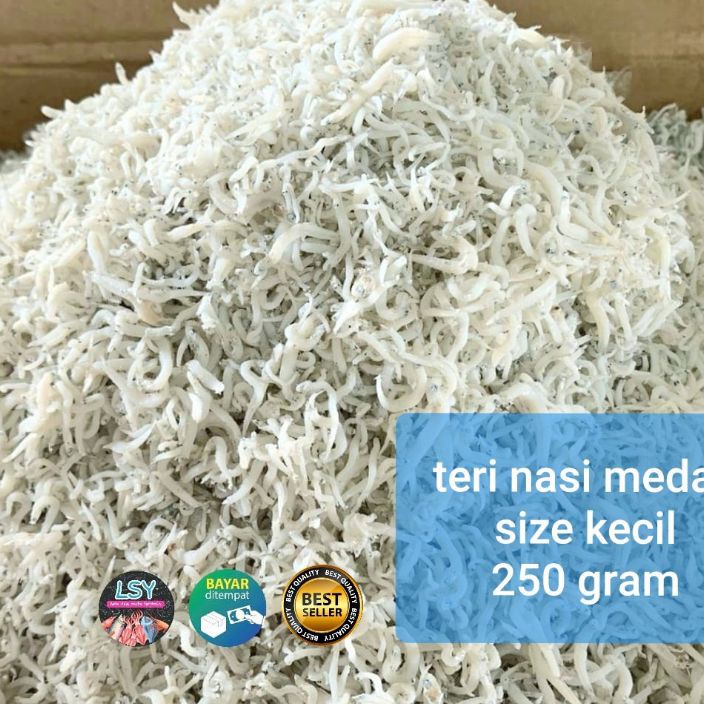 

Wah ikan asin teri nasi medan size kecil 25 gram