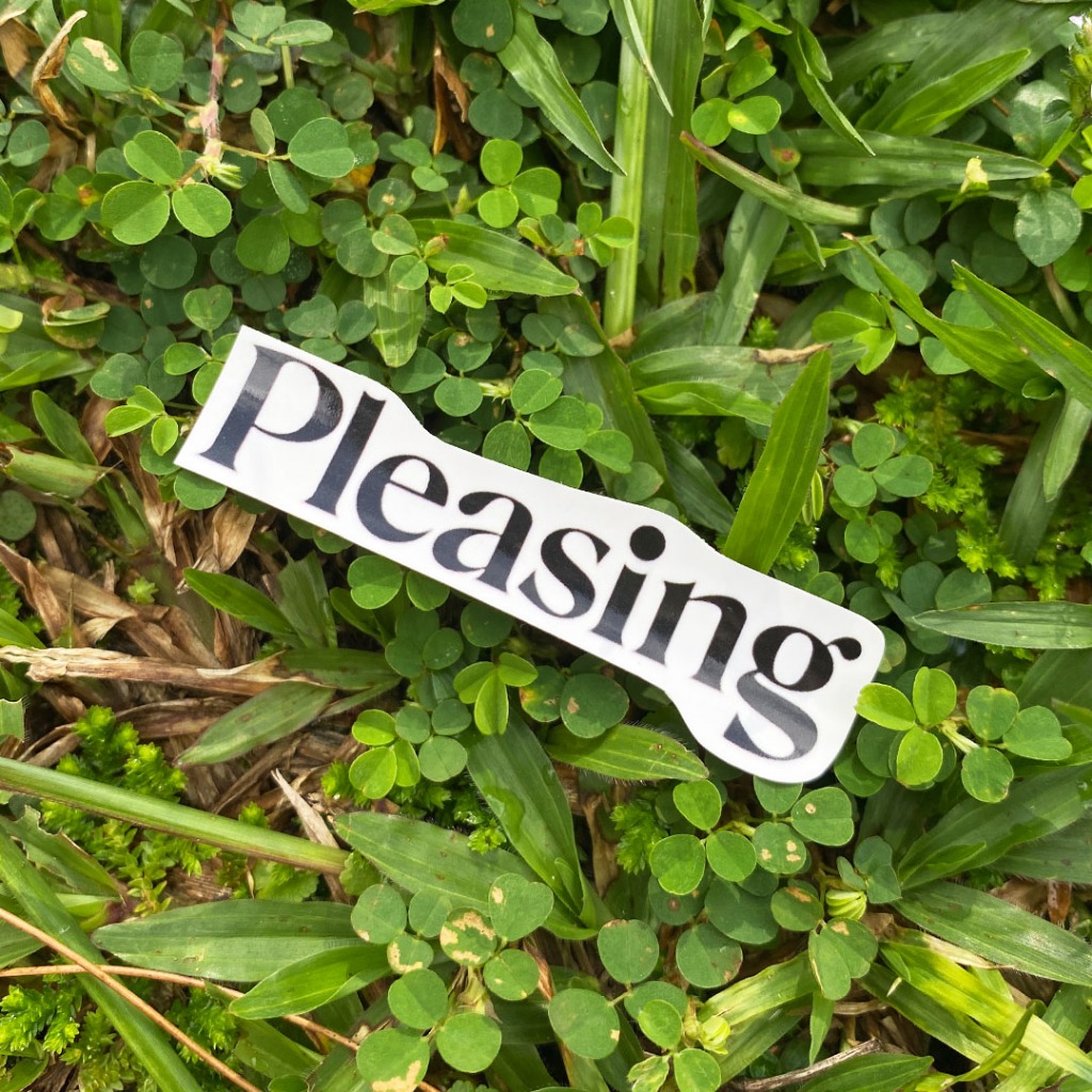 

Sticker "PLEASING" Harry Styles stiker vinyl glossy /stikeraesthetic/stikervinyl/stikerharrystyle/stikermurah/stikermusik/dekorasi