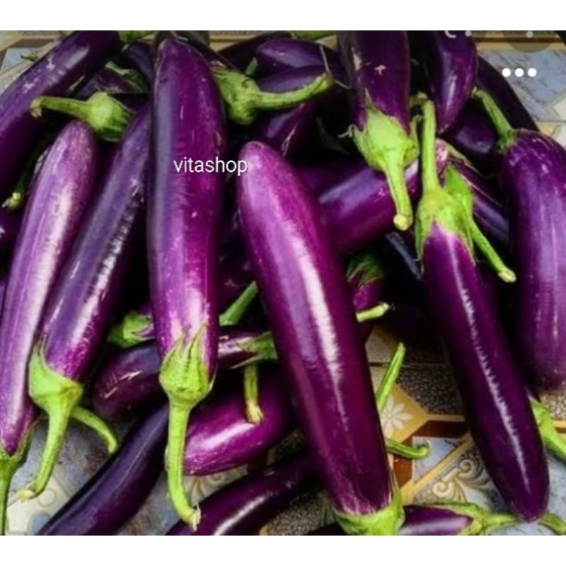 

TERONG UNGU 500gr