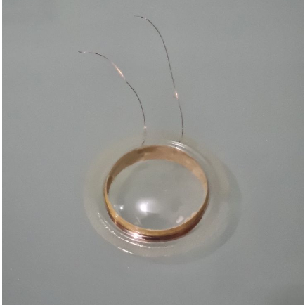 SPOEL SPUL TWEETER MIKA NATIONAL 25.MM / 1 Inch 1PCS