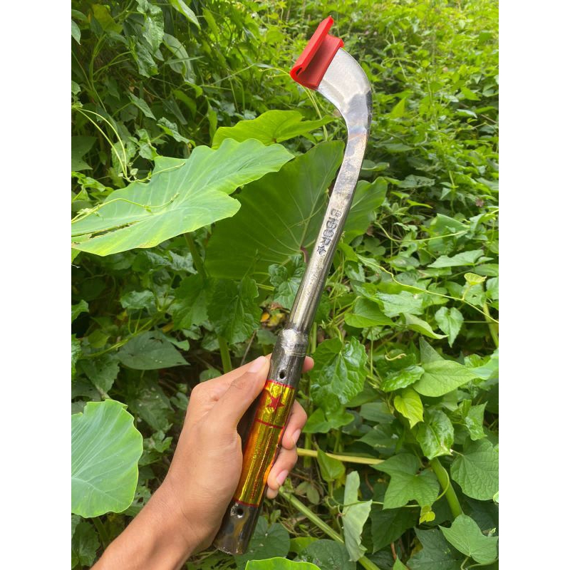 Bidor Bintang Malaysia Pisau Sadap Karet