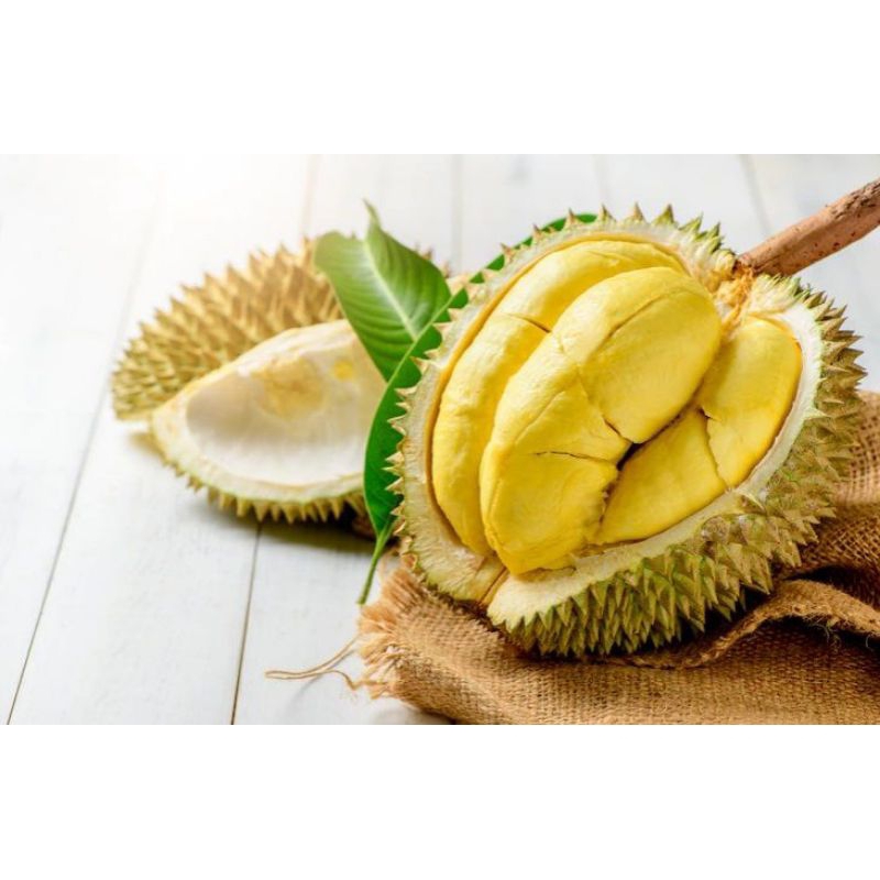 

durian Montong best quality