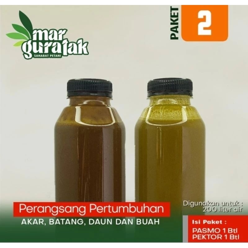 PAKET PASMO & PEKTOR