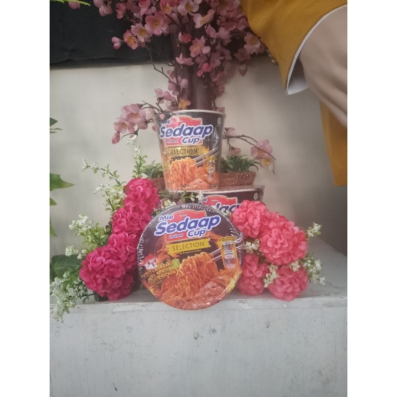 

Mie Sedaap Cup