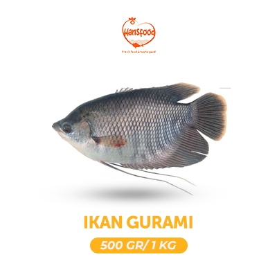 

Ikan Gurame / Gurami Fresh