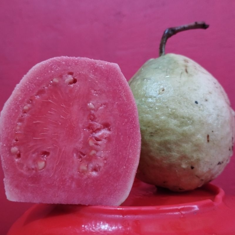 

Jambu Merah