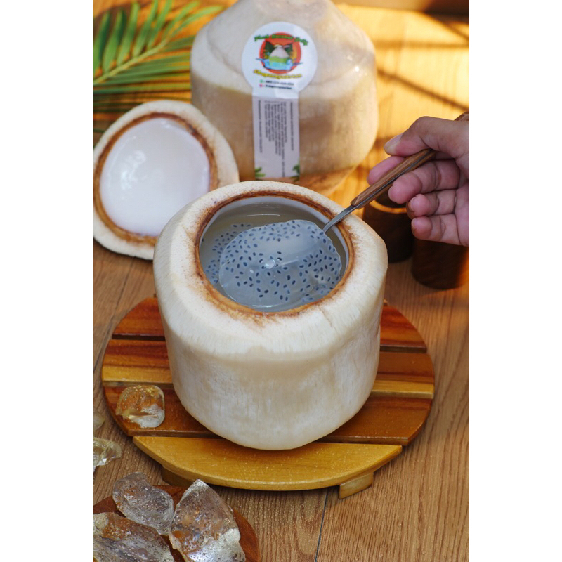 

Fresh Coconut Jelly Selasih