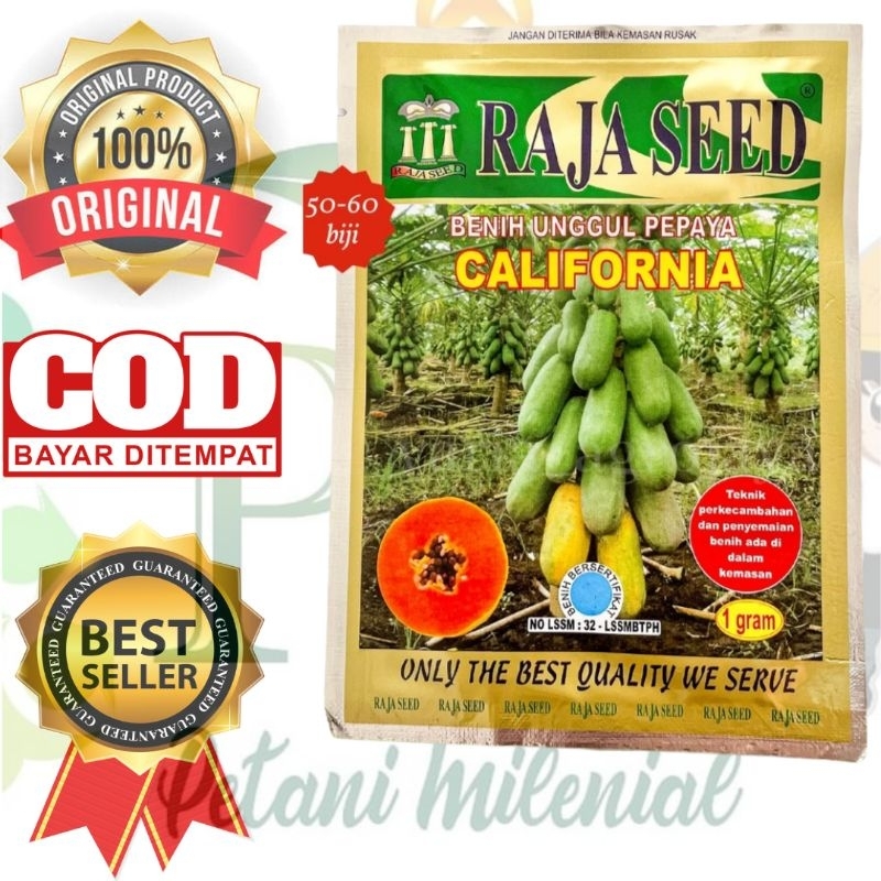 Benih Pepaya California 1 gram RAJA SEED- Bibit unggul Pepaya