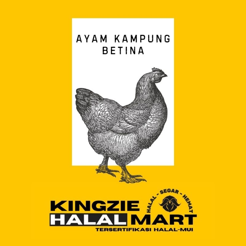 

AYAM KAMPUNG BETINA POTONG SEGAR
