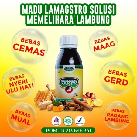 Madu Lambung Darusyifa Lamagstro Madu Lambung Herbal Obat Gerd Asam Lambung