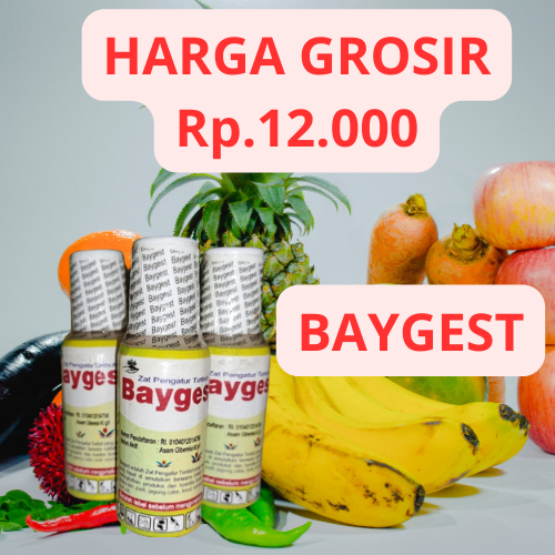 Pembesar Buah ZPT Baygest 40 SL Asam Giberelat 40 g/l kemasan 15 ml ( 1 Kotak )