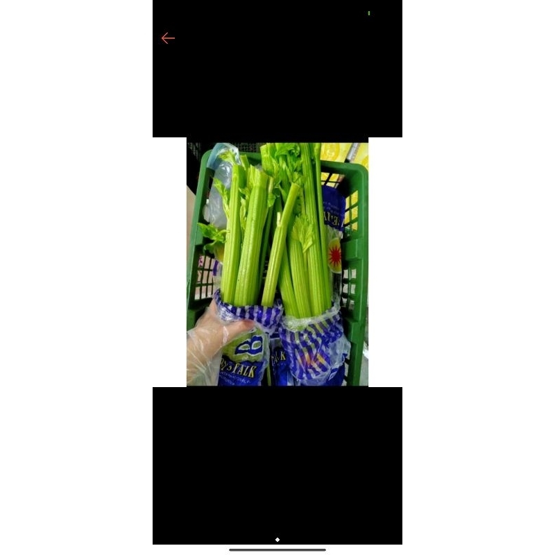 

Celery Stick Import China/fresh/healty