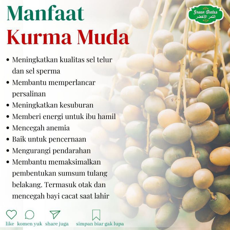 

KURMA MUDA BARHEE KUNING