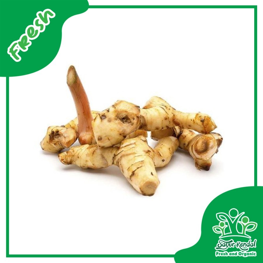 

Lengkuas - 250 gr - Sayur Kendal Sawangan
