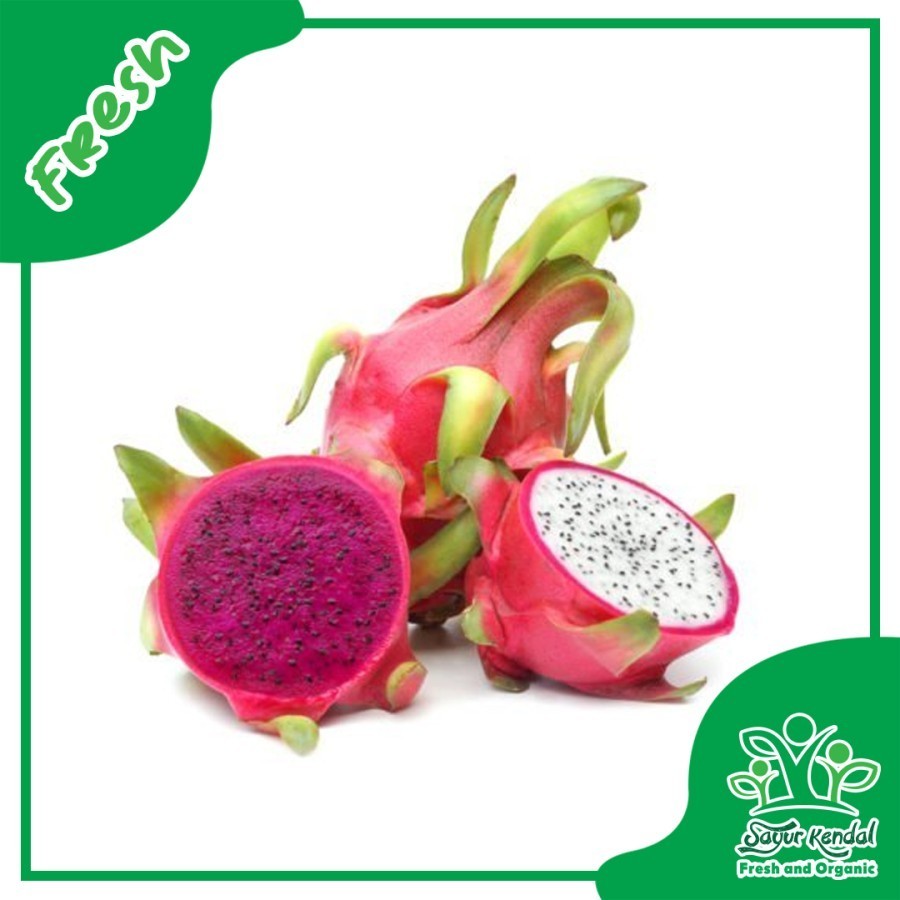 

Fresh Buah Naga - Sayur Kendal Sawangan