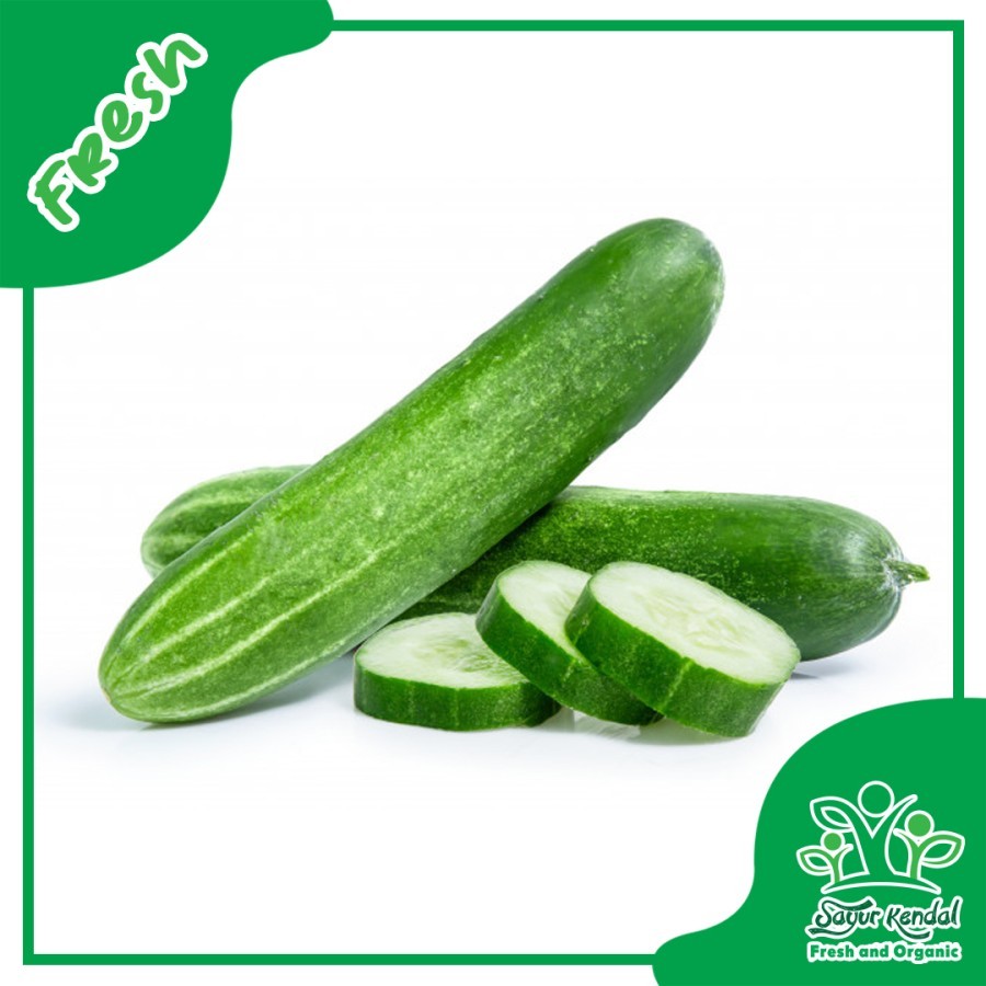 

Timun Fresh - 250gr - Sayur Kendal Sawangan