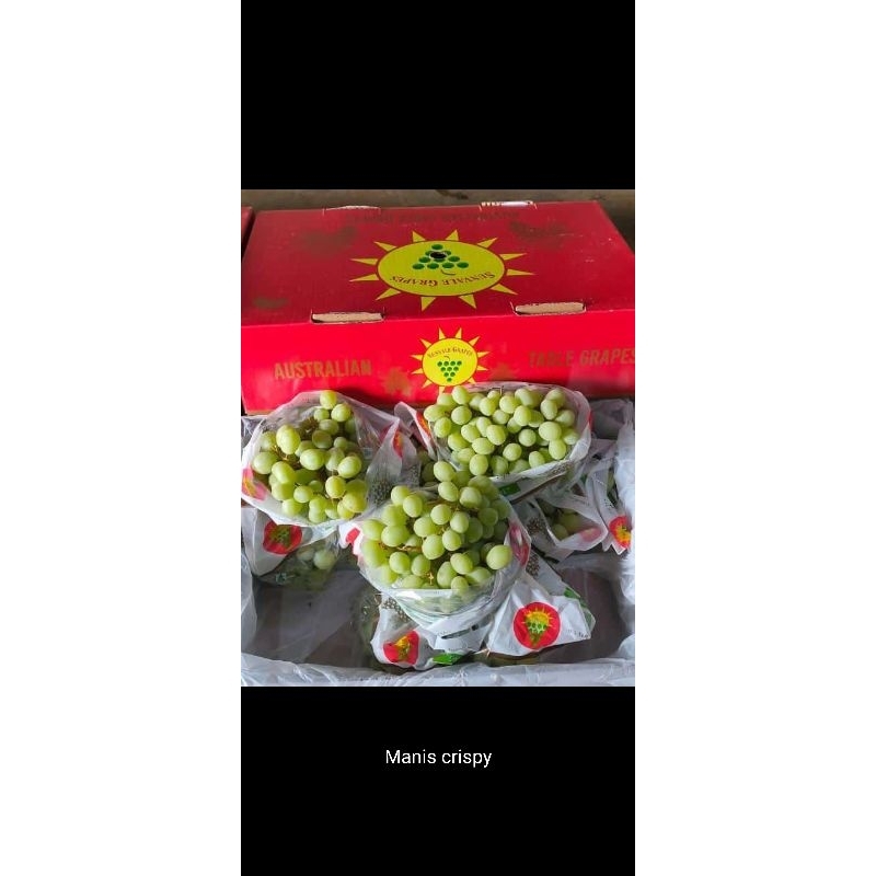 

sunvale grapes//ANGGUR HIJAU IMPORT