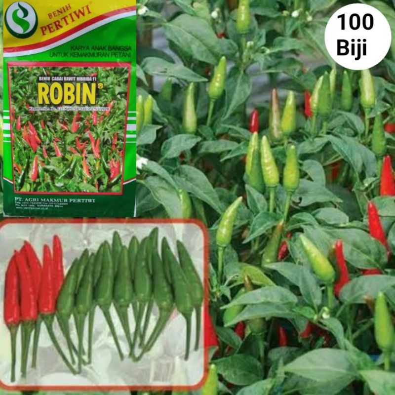 100 Biji Cabe Rawit Hijau Robin F1 | Benih Cabai Rawit Hijau | Bibit Cabe Rawit Hijau