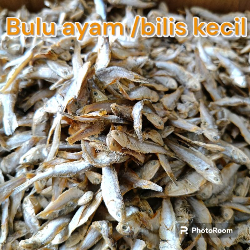 

IKAN ASIN BULU AYAM / BILIS KECIL 1 KG GURIH