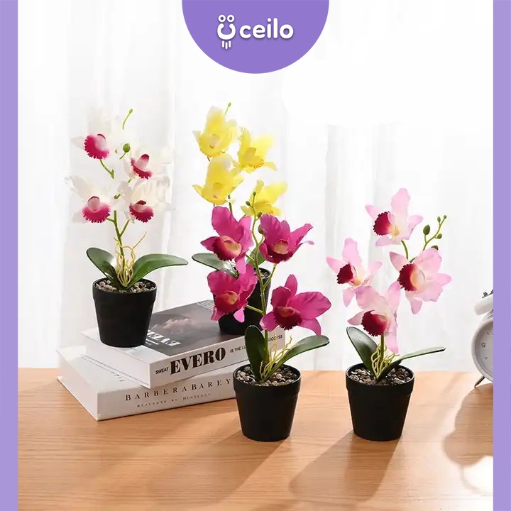 CEILO Bunga Anggrek Dendrobium | Bunga Anggrek Hias Pot Plastik Real Touch Artificial | Bunga Anggre