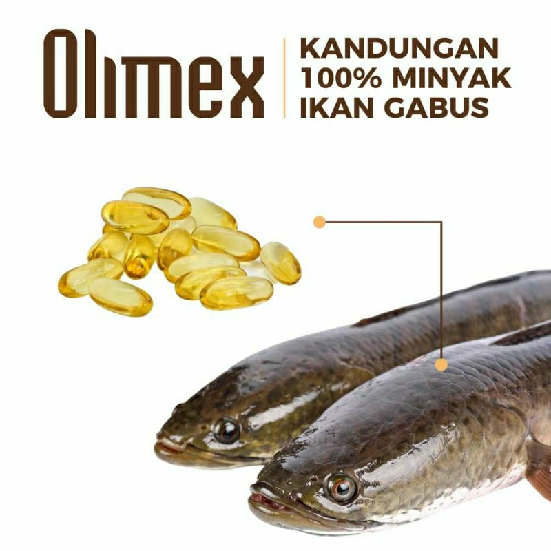 Olimex kapsul Minyak Albumin Ikan Gabus