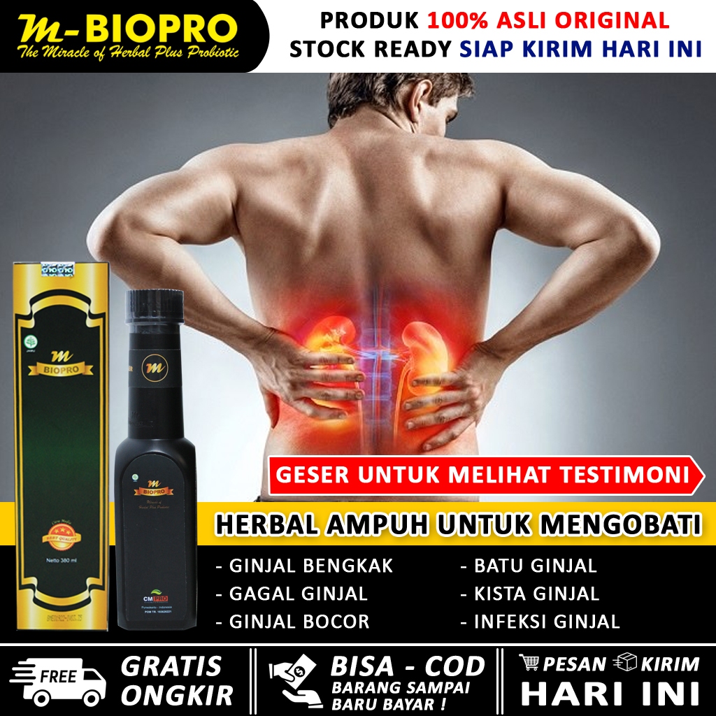 Obat ginjal paling ampuh MBIOPRO , herbal ginjal cina, ginjal solvarin, ginjal herbal, batu ginjal, 