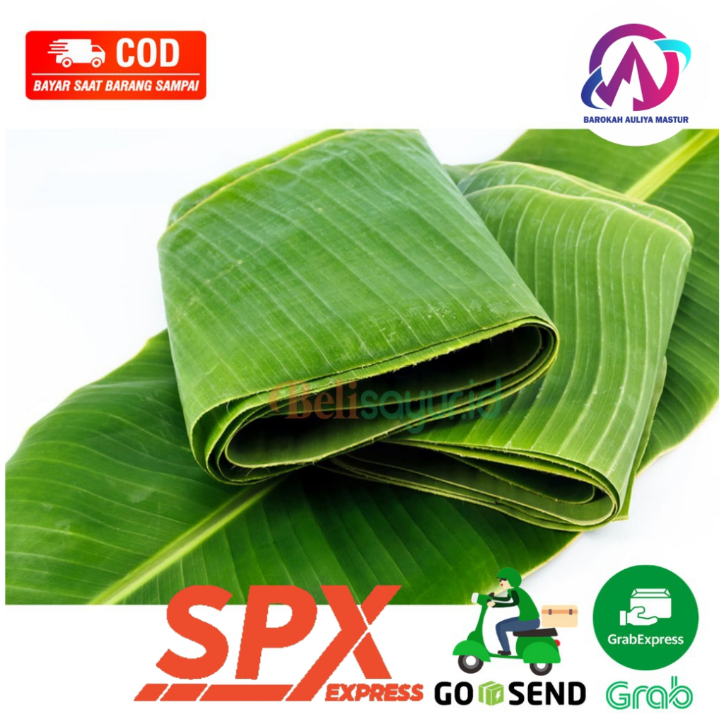 

KIRIM INSTAN Daun Pisang per 500gr - 1000gr Sayuran Daun Segar Kirim Instan BAM Pasar Online Murah Padang