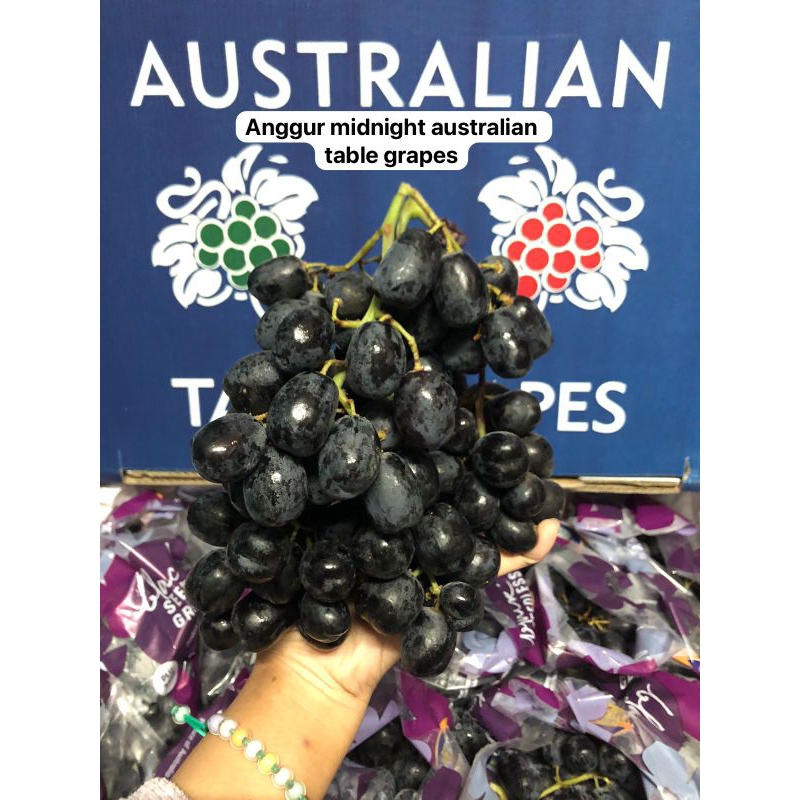 Anggur midnight australian table grapes / kg