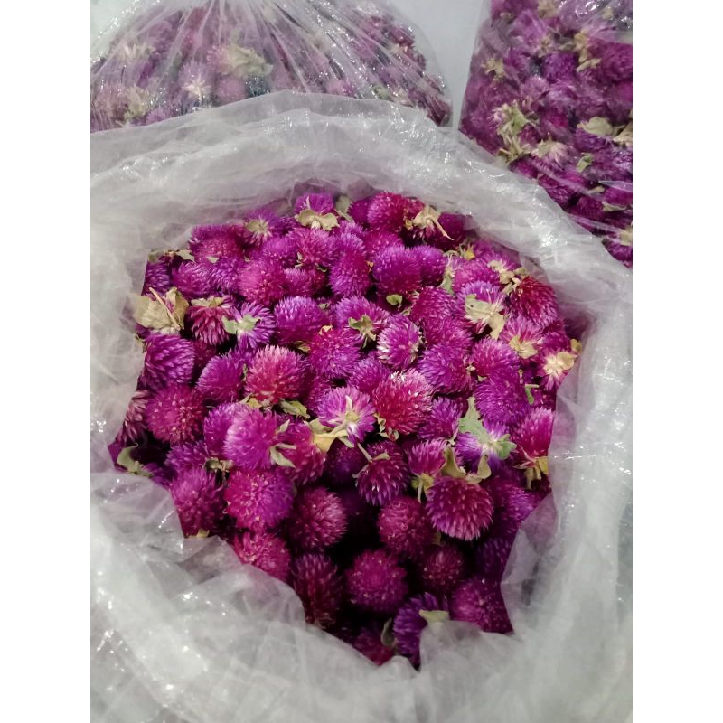 

GLOBE AMARANTH KERING 500GR