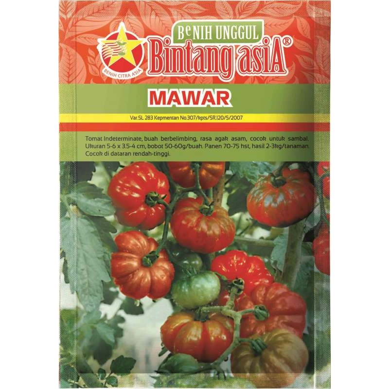 Benih Bibit Tomat Mawar 10 gr/ BCA / Tomat Mawar