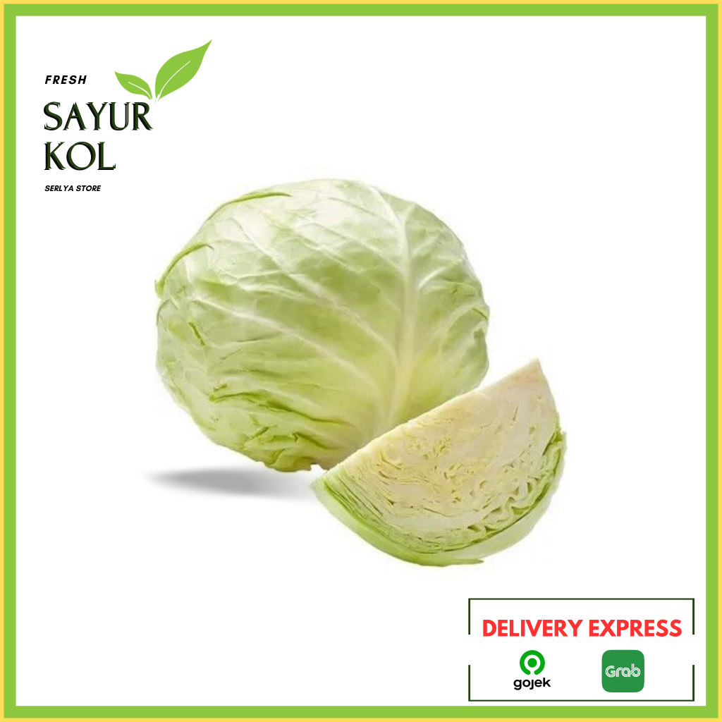 

SAYUR KOL KUBIS PUTIH SAYUR SEGAR SAYURAN FRESH CABBAGE