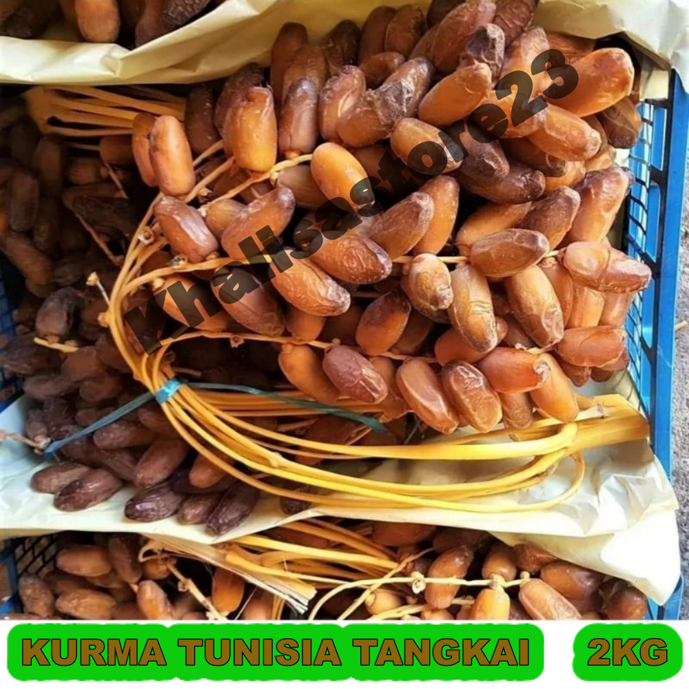 

kurma tunisia tangkai / kurma tangkai kemasan dus 2kg