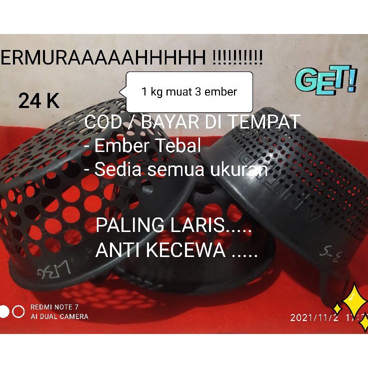 Masih fresh bak sortir ikan lele  ember sortiran lele  sortir lele  aksesoris  hewan  ikan  bak sort