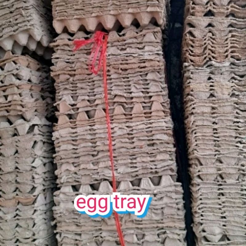 Egg tray bekas