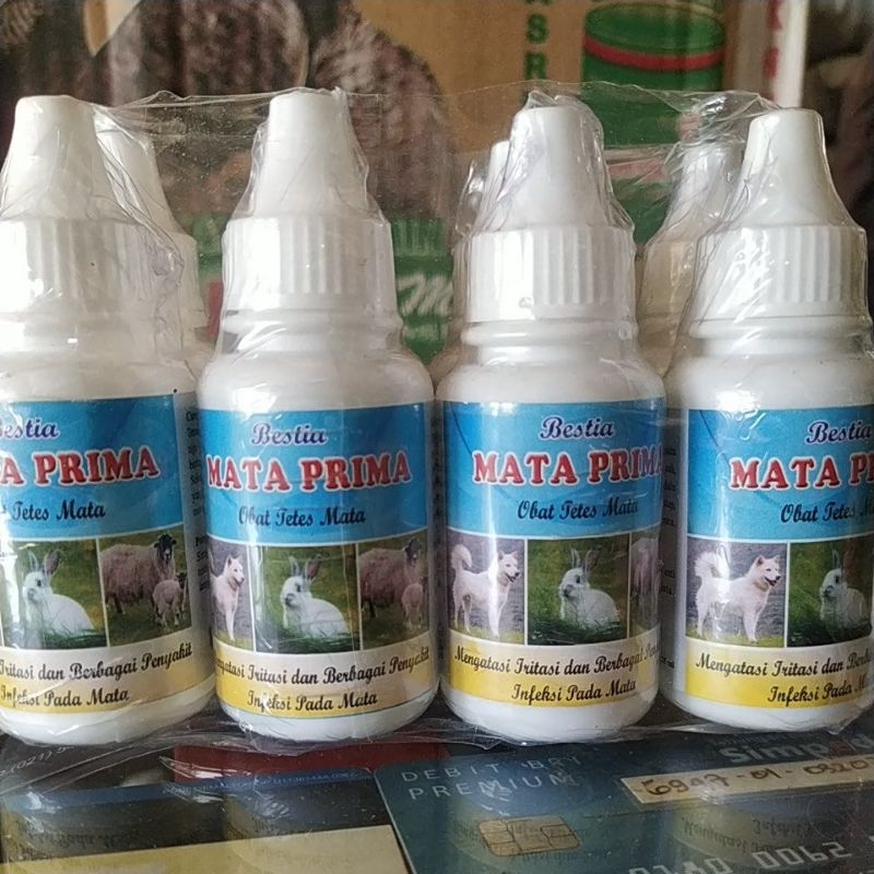 OBAT TETES MATA HEWAN || KELINCI ,KAMBING ,SAPI