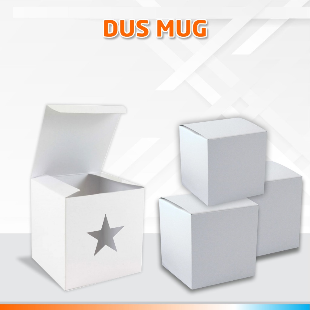DUS MUG / KARDUS BOX MUG / DUS MUG DUPLEK / BOX MUG POLOS