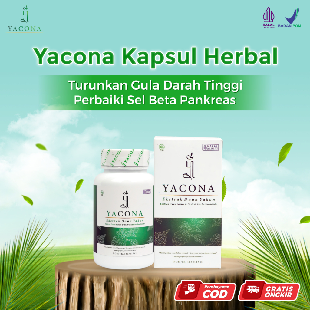 Yacona Kapsul Herbal Turunkan Gula Darah Tinggi