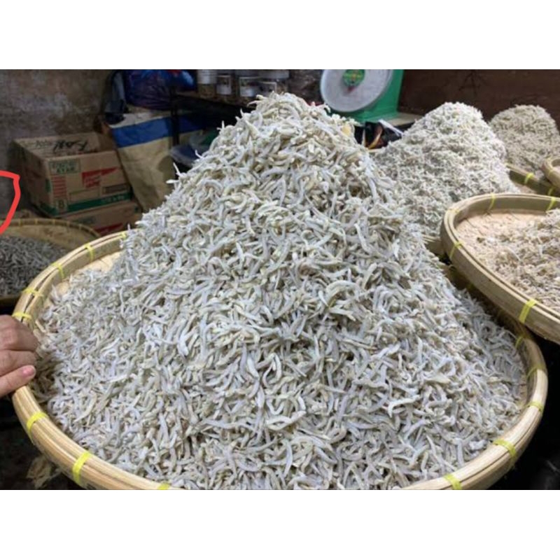 

Ikan Teri Medan 500gr Grade Bagus