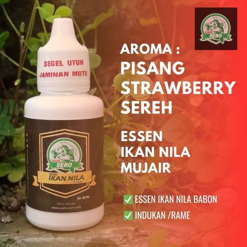 Essen Ikan Nila/Mujair Babon/Indukan/Essen Ikan Nila Rame/Essen Sero Aroma Pisang Strawberry Sereh