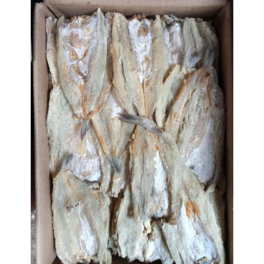 

Ikan Asin Gabus 250 gram KIRIM INSTANT