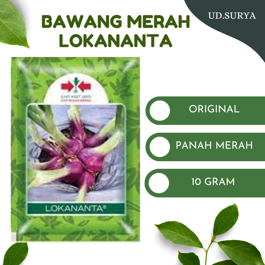 BENIH BAWANG MERAH LOKANANTA 10 GRAM PRODUK PANAH MERAH