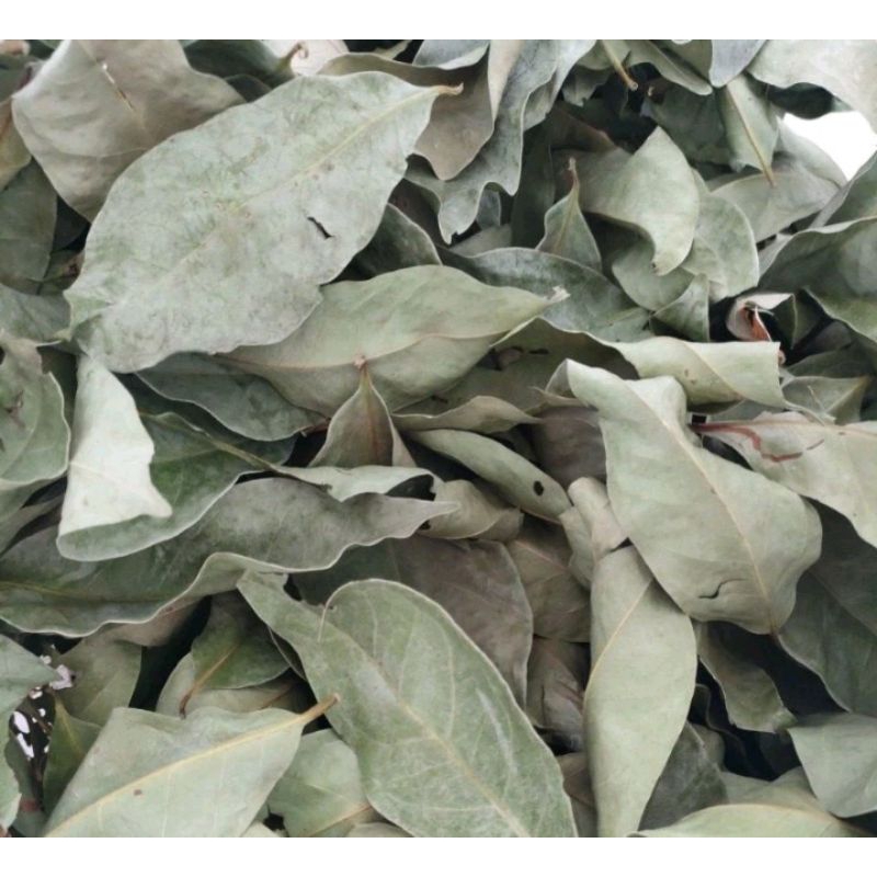 

daun salam kering original 100gr/rimpang wangi