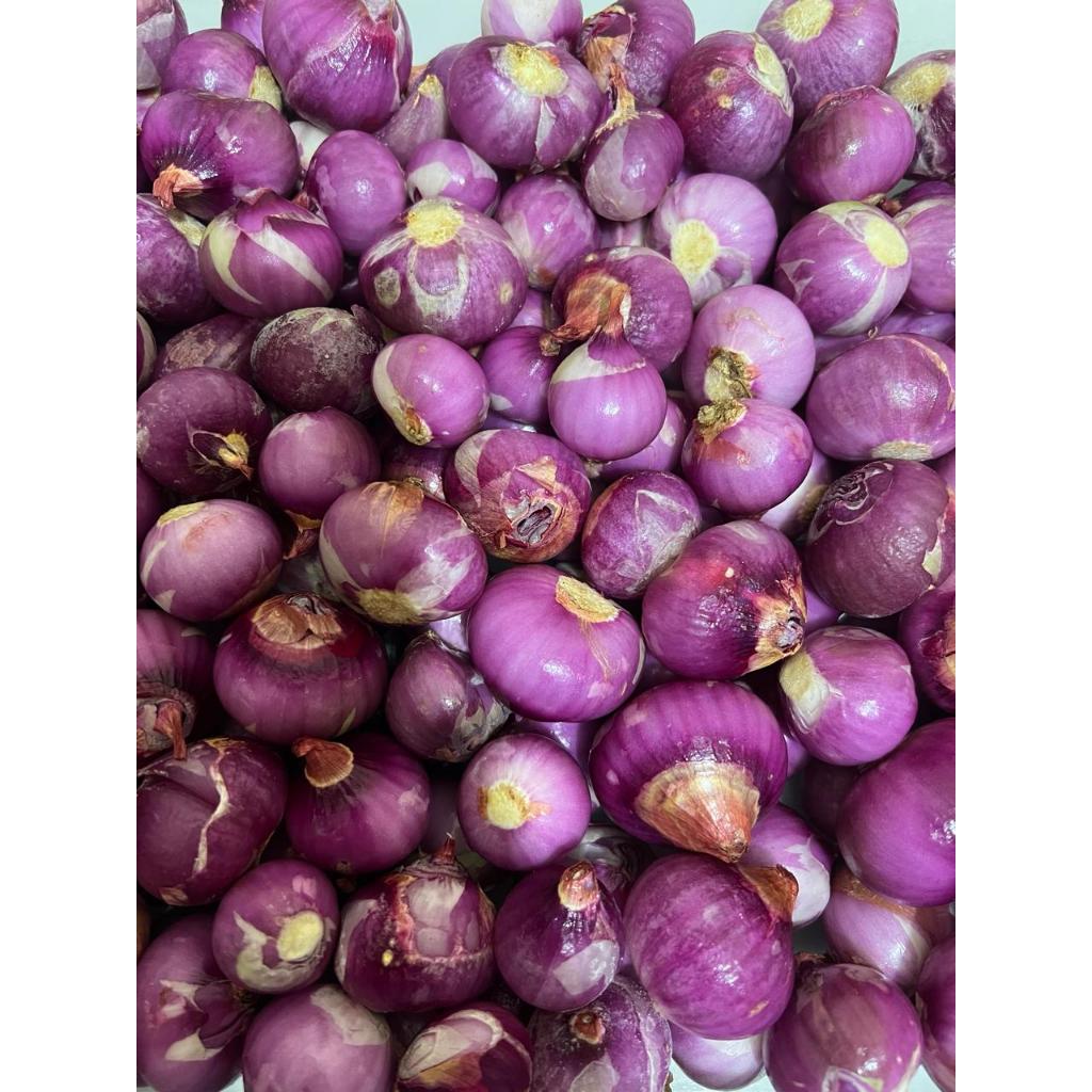 

BAWANG MERAH KUPAS 500 GR & 1 KG
